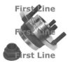 FIRST LINE FBK319 Wheel Bearing Kit